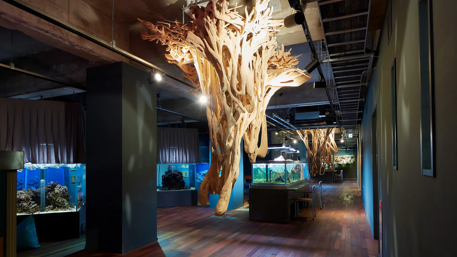 みなとやま水族館