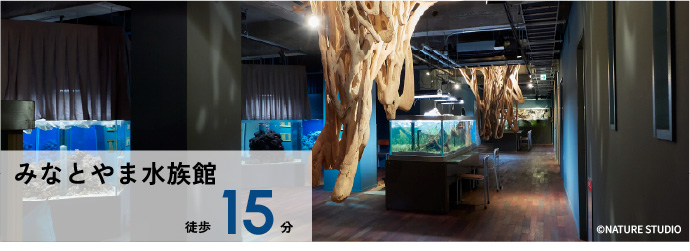 みなとやま水族館 徒歩15分